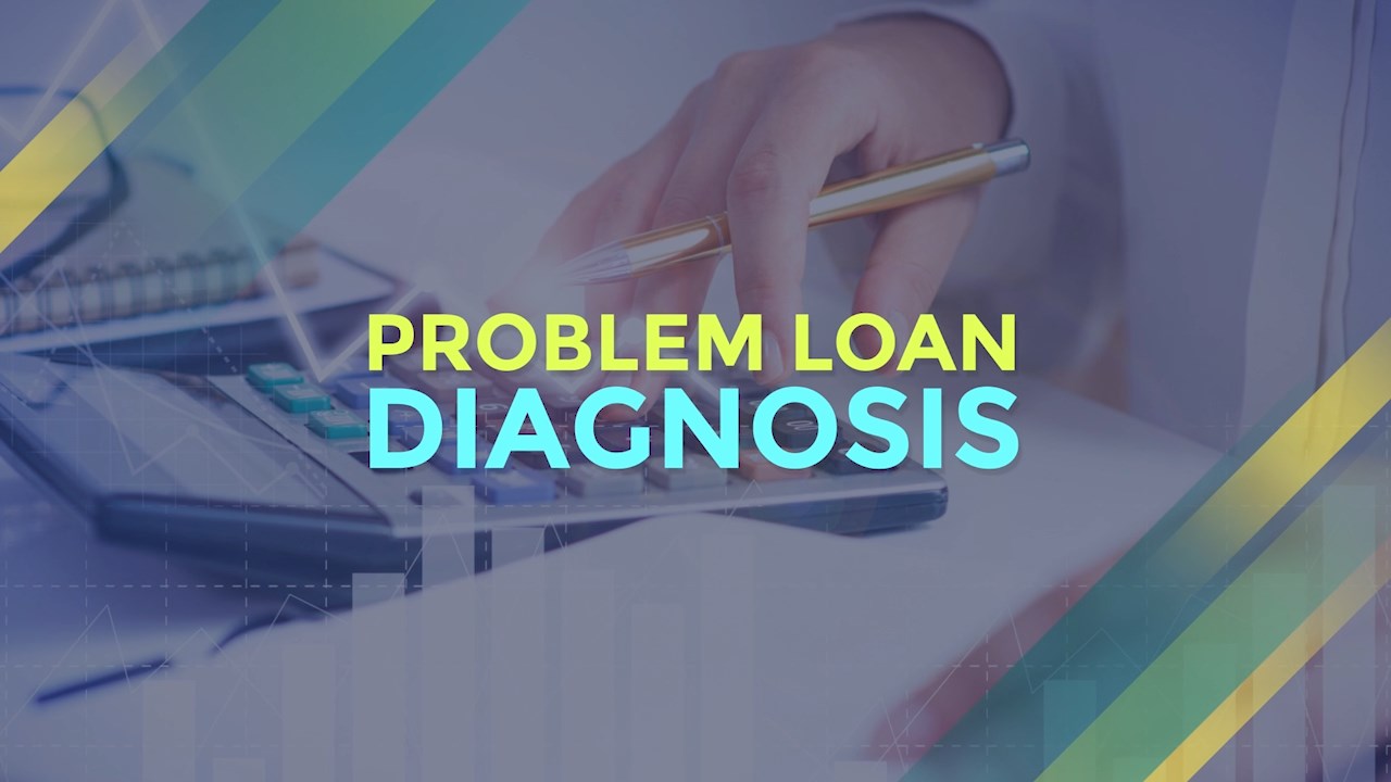 20C. PROBLEM LOAN MANAGEMENT 3 - PROBLEM LOAN DIAGNOSIS